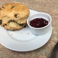 Great size  at Hartley's Nurseries in Liverpool