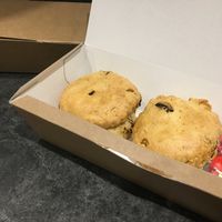 Bought 4 more  at Hartley's Nurseries in Liverpool