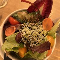 Side salad   at Ratskeller in Stuttgart