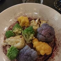  at Ratskeller in Stuttgart