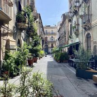   at PLANTE Lab in Catania