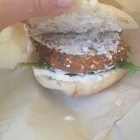 Tofux at PLANTE Lab in Catania