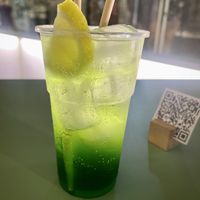   at PLANTE Lab in Catania