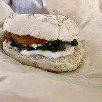   at PLANTE Lab in Catania