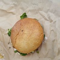  at PLANTE Lab in Catania