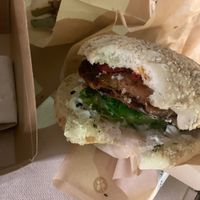 Plante  at PLANTE Lab in Catania