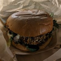  at PLANTE Lab in Catania