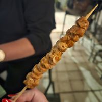  at PLANTE Lab in Catania