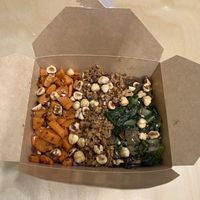 Ploké  at PLANTE Lab in Catania