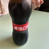   at PLANTE Lab in Catania