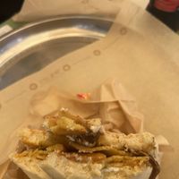   at PLANTE Lab in Catania