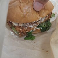 Tofux at PLANTE Lab in Catania