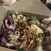   at PLANTE Lab in Catania