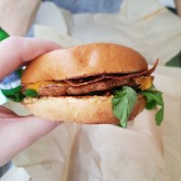  at PLANTE Lab in Catania