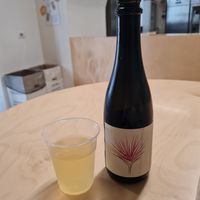  at PLANTE Lab in Catania