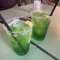   at PLANTE Lab in Catania