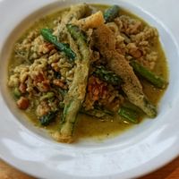 Asparagus Risotto at River Green Restaurant in Norwich