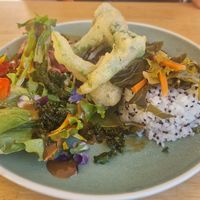 Sushi / all sorts dish at River Green Restaurant in Norwich