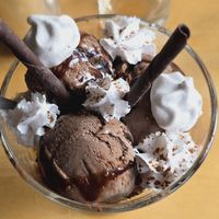 Chocolate sundae at River Green Restaurant in Norwich