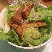 Grilled tofu salad with Greek vinaigrette  at The Hogtown Vegan in Toronto