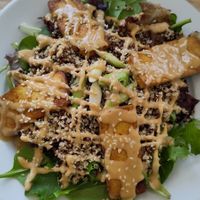 Todu stack at Vemillion in Basingstoke