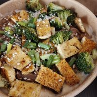 Thai tofu peanutbutter noodles at Future Diner in Yerevan