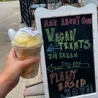 Vegan Ice Cream  at Black Barn Veganry in Yellow Springs