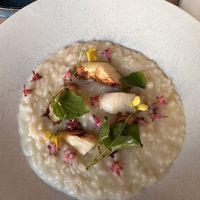   at Nightshade in Vancouver