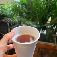 Hot Kombucha! It’s plum rain season here and I desperately needed something warm, comforting and full probiotics 😷 Thank goodness Carrot&Cleaver has warm options! at Carrot & Cleaver  in Shanghai