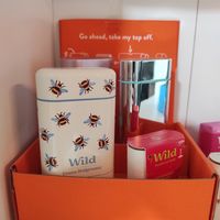 Wild at Paladares Vegan in Braga