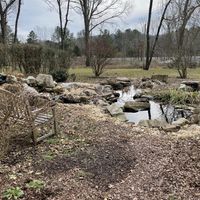 Fish Pond  at Staff Of Life Cafe & Bread And Breakfast in Cherokee