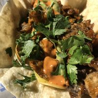 chili garlic mushroom taco. at Bloom Foods Food Truck in Houston