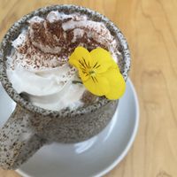 Hot chocolate   at The Green Canopy in Fitzroy