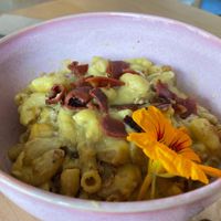   at The Green Canopy in Fitzroy