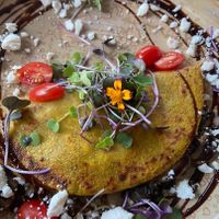 Herby GF chickpea omelette with LOTS of mushrooms - best I’ve ever had   at The Green Canopy in Fitzroy
