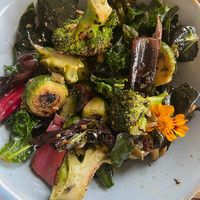  A roast veg and pesto salad - was 17$ for not a ton of flavour  at The Green Canopy in Fitzroy