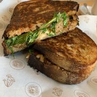 Delicious toasted sandwich    at The Green Canopy in Fitzroy