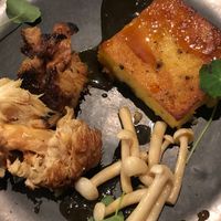 Lions Mane Mushroom with Truffle Polenta, Mushrooms & Madeira Sauce at White Rabbit in Todmorden