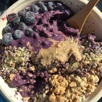   at Key Roots in Islamorada