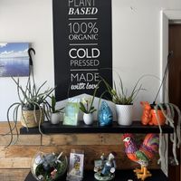   at Key Roots in Islamorada