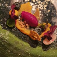 varity of beetroot at Lackner Stubn in Lagundo