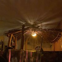   at Baobab in Darmstadt