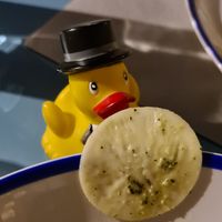 🦆 at 5 e Cinque in Florence