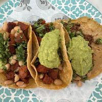 Deliciosos tacos veganos  at Egg Plant in Tijuana