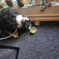  at 5Tara in Sheffield