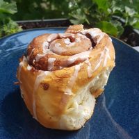 Amazing vegan cinnamon buns 😍 at Herr Liebig Kaffeehaus in Dortmund