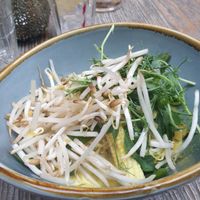 vegan curry at Forgan's in Dundee