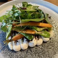 Sommerlicher Gemüsegarten (Sellerie, Champignon-Erde, Gartengemüse, Wiesenkräuter, Radieschen)  at ÜBERLAND in Braunschweig