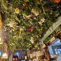  at Earth Bowls in Heidelberg