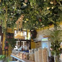   at Earth Bowls in Heidelberg